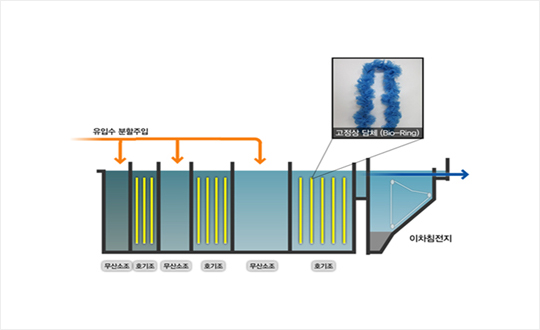 MS-BNR Process 이미지